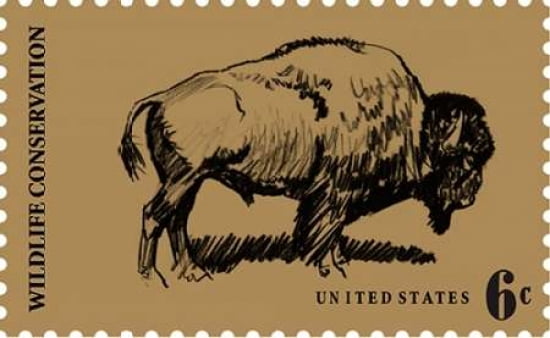 Buffalo Sketch Canvas Art - US POSTAL SERVICE (12 x 18)