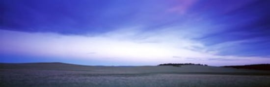 Buffalo farm at dusk Clear Creek Ranch Utah USA Canvas Art - Panoramic Images (36 x 12)