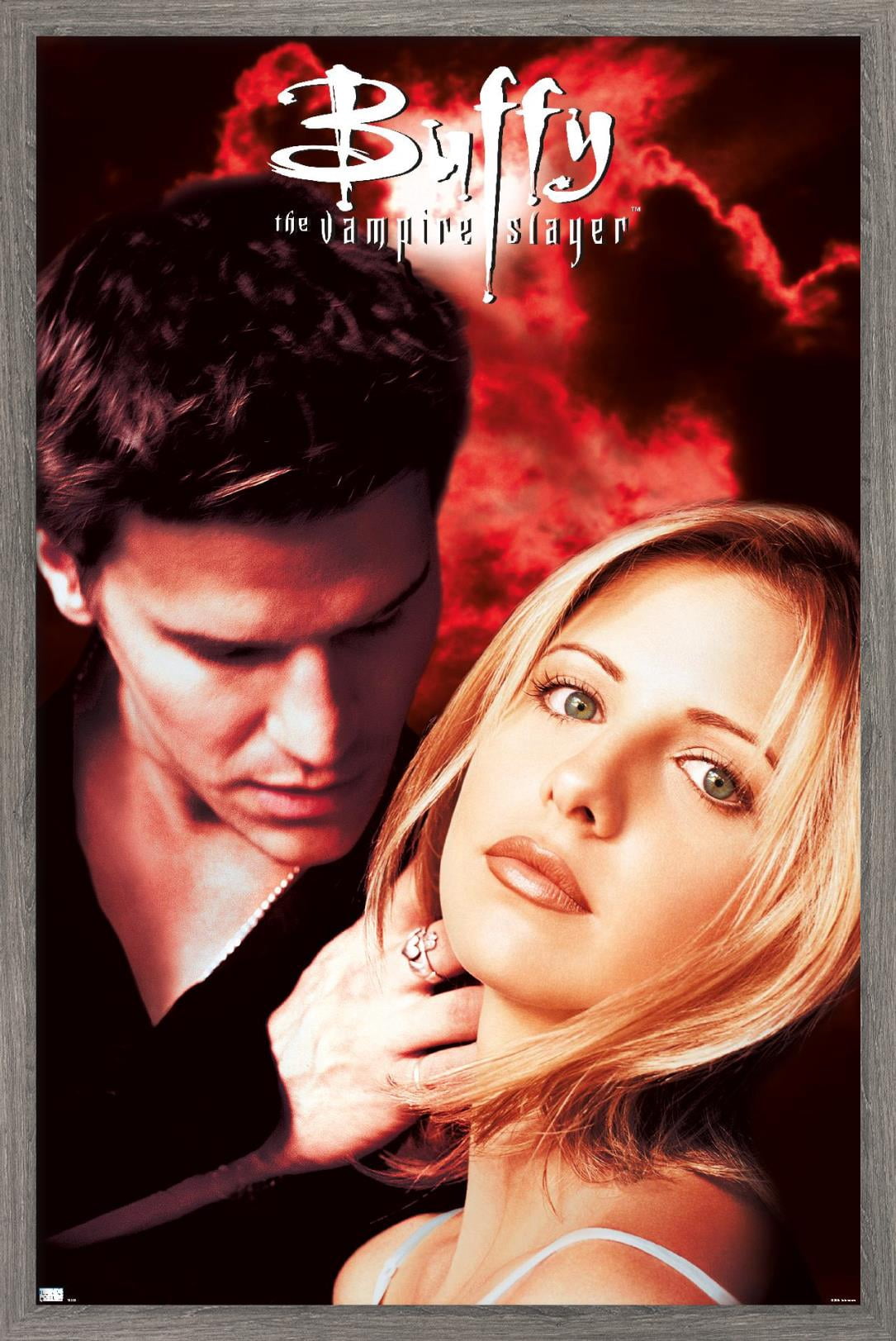 Buffy the Vampire Slayer - Season 2 One Sheet Wall Poster, 14.725" x 22.375", Framed
