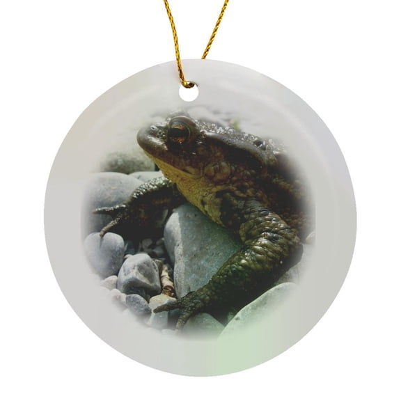 3drose, Bufo Bufo Toad Lounging on Stones Close up Photograph, Circle Porcelain Ornament