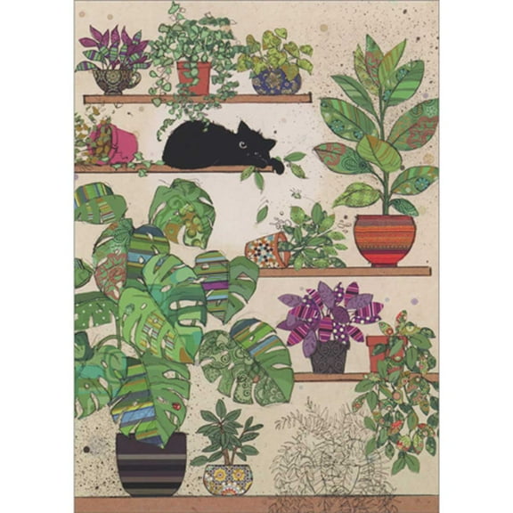 Bug Art Black Kitty and Plants on Shelves Blank Note Card