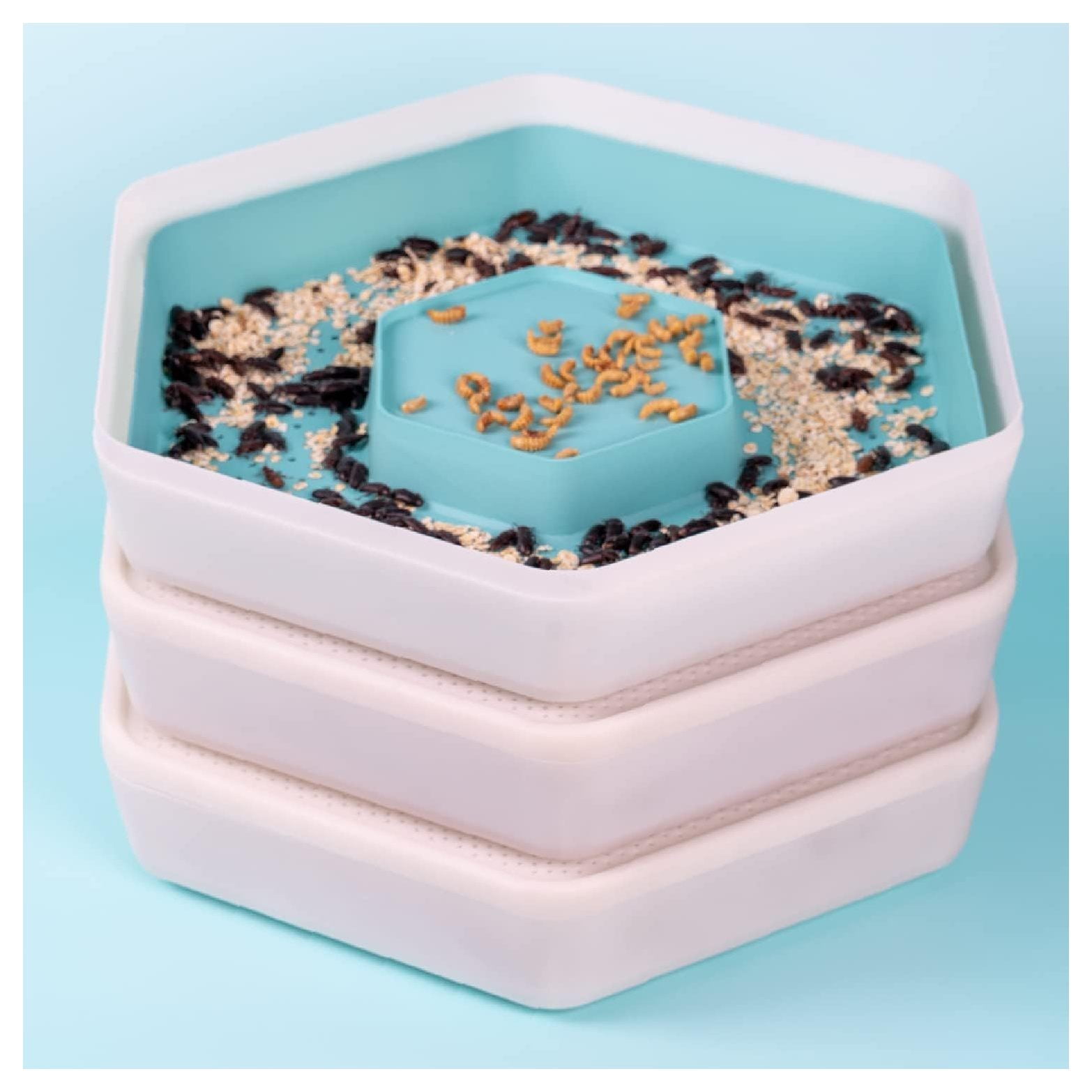 Bug Factory Mealworm Habitat 3 Growing Pod