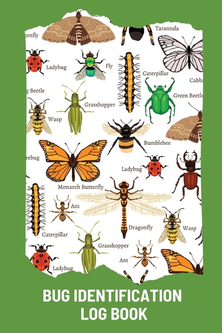 Bug Identification Log Book For Kids: Bug Activity Journal, Insect ...