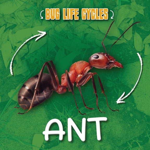 Bug Life Cycles Ant, (Paperback)