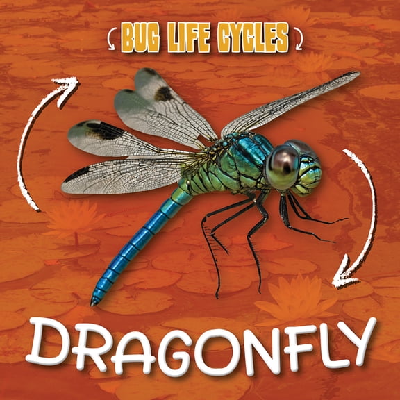 Bug Life Cycles Dragonfly, (Hardcover)