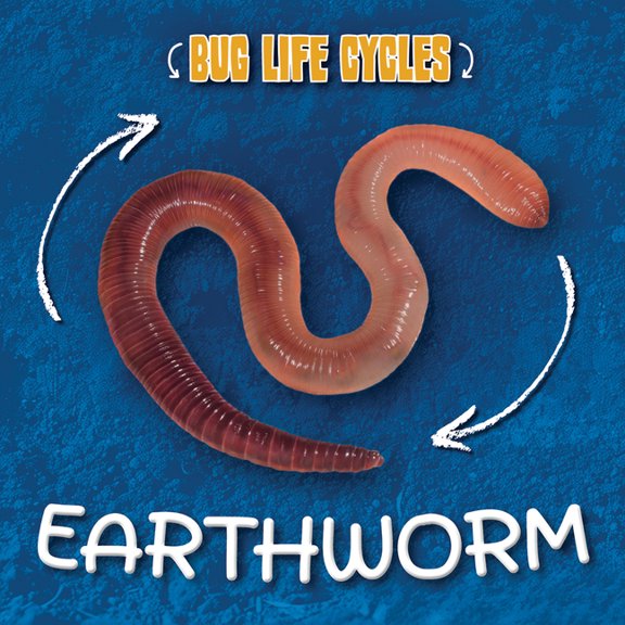 Bug Life Cycles Earthworm, (Paperback)