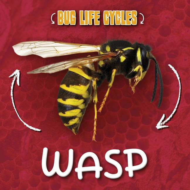 Bug Life Cycles Wasp, (Hardcover)