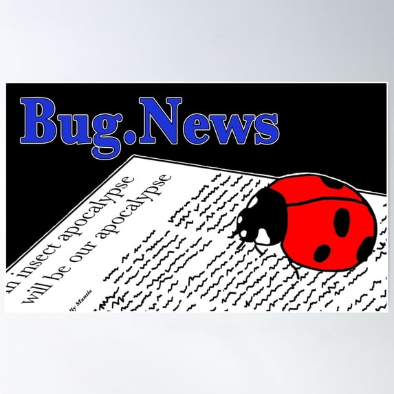 Bug News - Ladybug Reading For Dark Background Poster Wall Art, Modern Wall Decor For Living Room Bedroom, 8x12 UNFRAMED