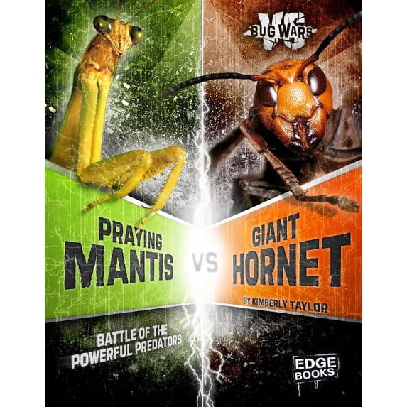 Bug Wars: Praying Mantis vs. Giant Hornet: Battle of the Powerful Predators (Paperback)