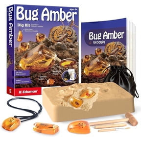 Piano Potato Insect & Amber Dig Kit for Kids - 6 Real Preserved Bug Specimens & 1 Genuine Natural Amber, DIY Jewelry Making STEM Science Activity, Fossil Excavation Gift for Boys & Girls