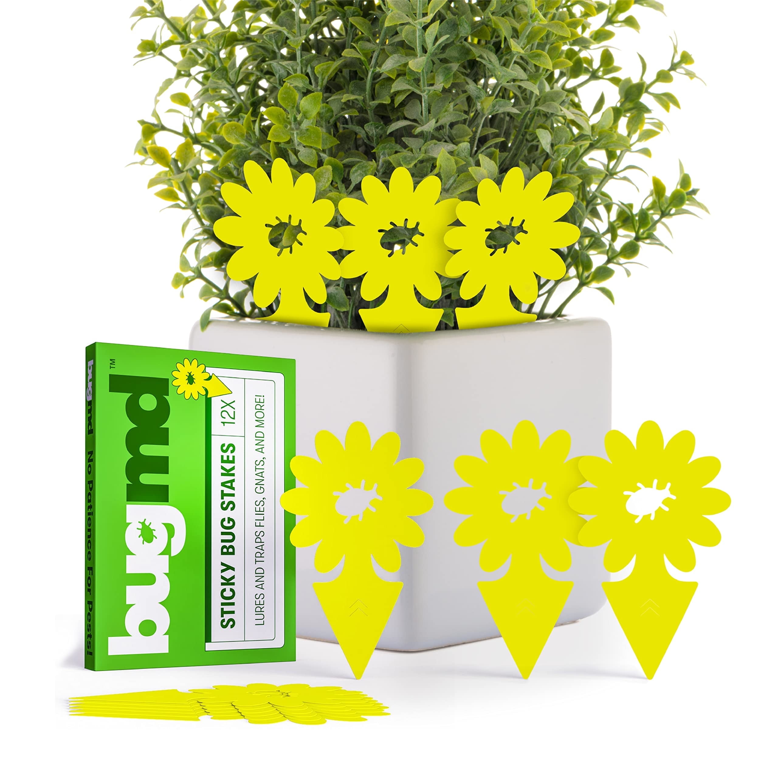 BugMD Sticky Bug Traps (12 Pack) - Indoor Fruit Fly Killer, Fungus Gnat Killer, Plant Sticky Traps for Bugs, Yellow Sticky Fly Traps for Plants, Gnat for Plants, Odorless