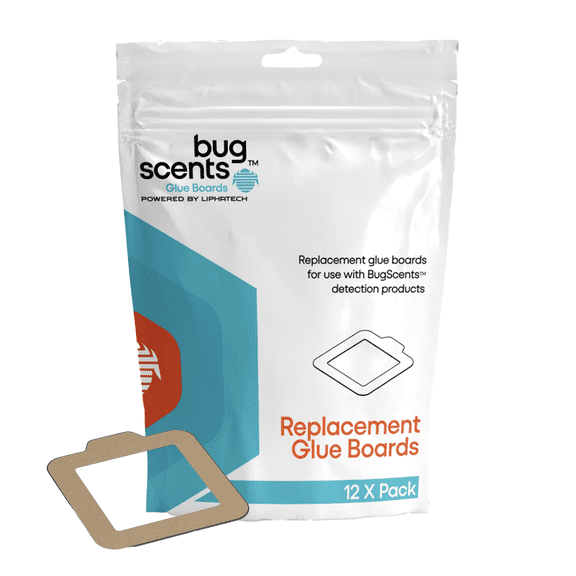 BugScents Bed Bug Replacement Glue Boards - 12 Pack by LiphaTech