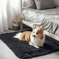 thumbnail image 1 of Buganda Area Rugs for Living Room 2'X3', Soft and Fluffy Shaggy Carpet for Pets, Machine Washable Floor Rugs for Bedroom, Black, 1 of 8
