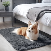 Buganda Area Rugs for Living Room 2X3, Soft and Fluffy Shaggy Carpet for Pets, Machine Washable Floor Rugs for Bedroom, Grey
