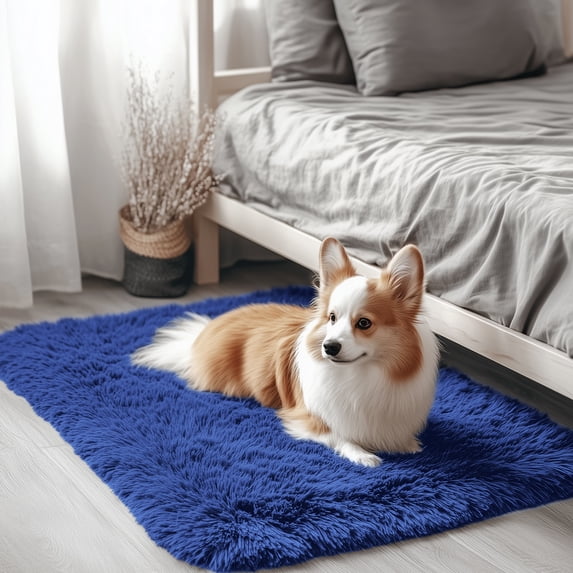 Buganda Area Rugs for Living Room 2'X3', Soft and Fluffy Shaggy Carpet for Pets, Machine Washable Floor Rugs for Bedroom, Navy