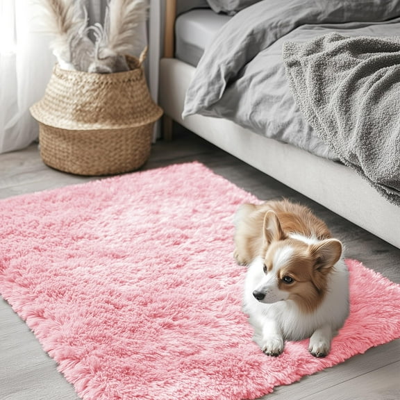 Buganda Area Rugs for Living Room 2'X3', Soft and Fluffy Shaggy Carpet for Pets, Machine Washable Floor Rugs for Bedroom, Pink