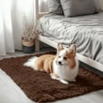 thumbnail image 1 of Buganda Area Rugs for Living Room 2'X3', Soft and Fluffy Shaggy Carpet for Pets, Machine Washable Floor Rugs for Bedroom, Coffee, 1 of 7