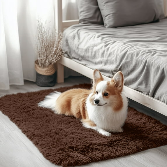 Buganda Area Rugs for Living Room 2'X3', Soft and Fluffy Shaggy Carpet for Pets, Machine Washable Floor Rugs for Bedroom, Coffee