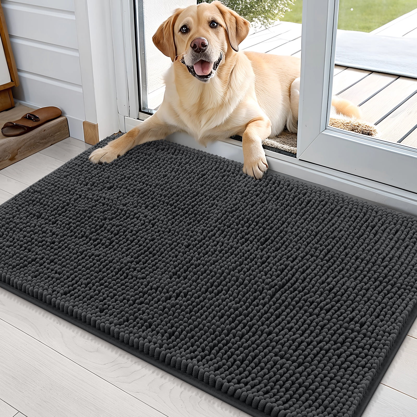 Deb Mat Buganda Dog Door Mats and Rugs, Washable Mat for Dog Paws, Absorbs ...