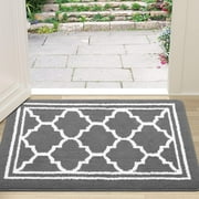 Buganda Door Mats Indoor, 17"×30", Water Absorbent Low Profile Anti-Slip Front Door Mat, Door Rugs for Entrance, Grey