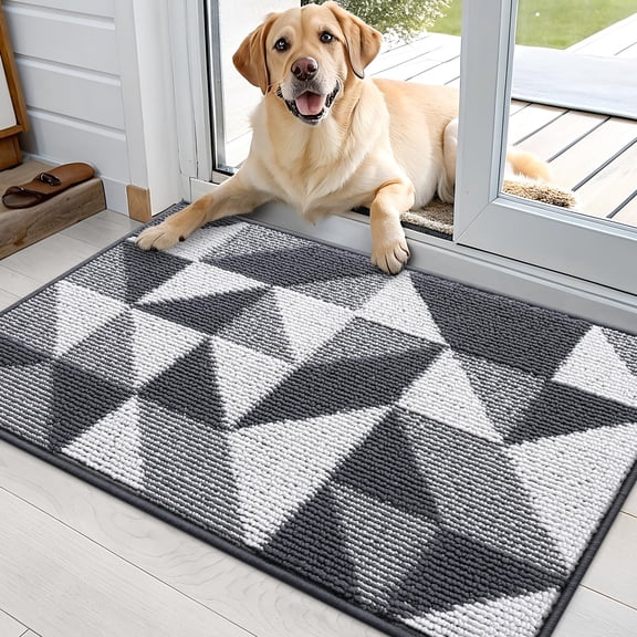 Buganda Indoor Door Mat, Non Slip Absorbent Resist Dirt Entrance Mat, Grey, 24"x 36"