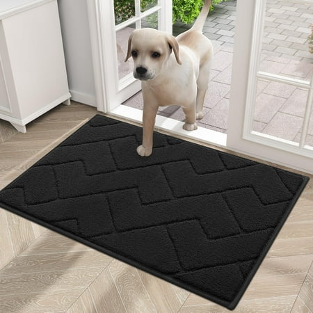 Buganda Indoor Doormat for Entrance, Washable Dirt Trapper Front Door Rug, Absorbent Non-Slip Low-Profile Door Mat(32"x20", Black)