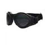 Bugeye 2 Interchangeable Goggle, Black Frame, 3 Lenses