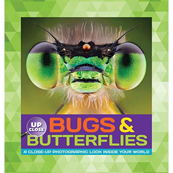 Pre-Owned Bugs & Butterflies: A close-up photographic look inside your world (Up Close) (Hardcover) 1633220443 9781633220447