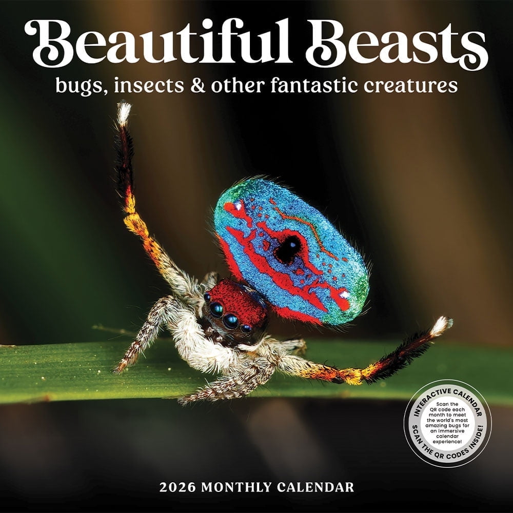 Bugs Calendar 2026 | 12” x 24” Bugs, Insects, and Other Fantastic ...