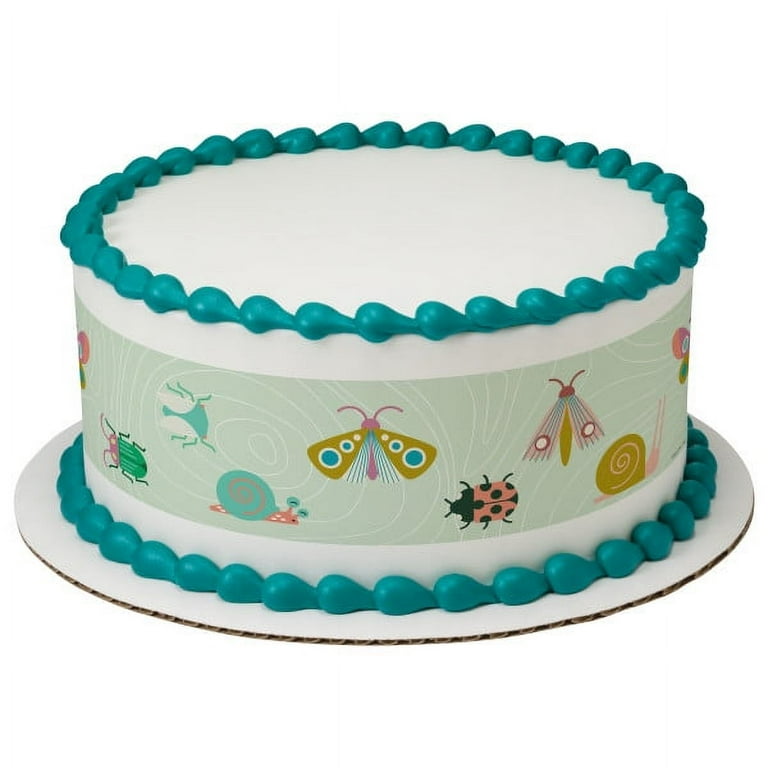 Bugs Edible Frosting Photo Cake Border Decoration 28494 Walmart
