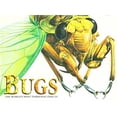 thumbnail image 1 of Pre-Owned Bugs: The World's Most Terrifying Insects (Hardcover) 076076560X 9780760765609, 1 of 1