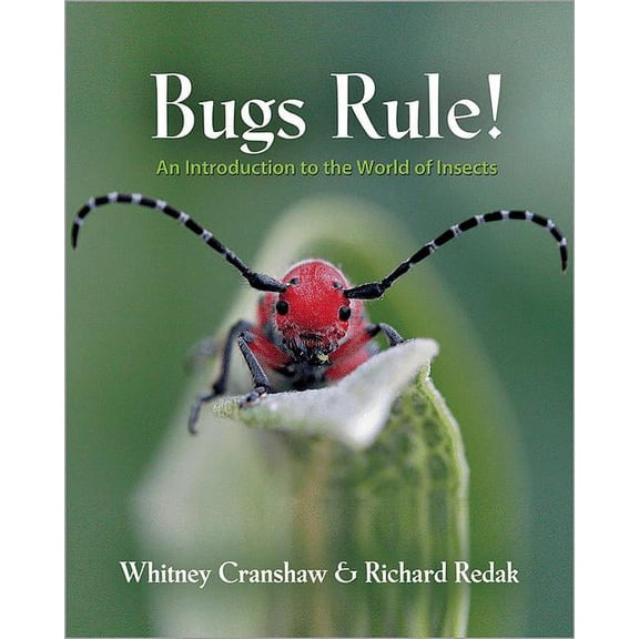 Bugs Rule!: An Introduction to the World of Insects, (Hardcover)