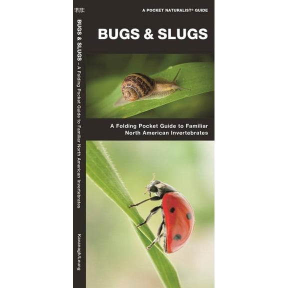 Pre-Owned Bugs & Slugs: A Folding Pocket Guide to Familiar North American Invertebrates (A Pocket Naturalist Guide) Paperback