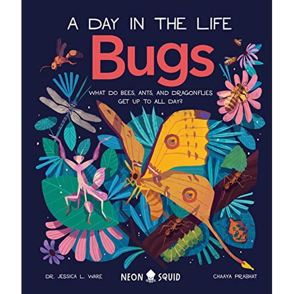 Pre-Owned Bugs (a Day in the Life): What Do Bees, Ants, and Dragonflies Get Up to All Day? (Hardcover) 1684492114 9781684492114
