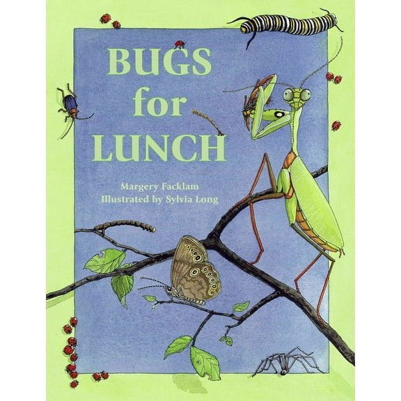Bugs for Lunch, (Paperback)