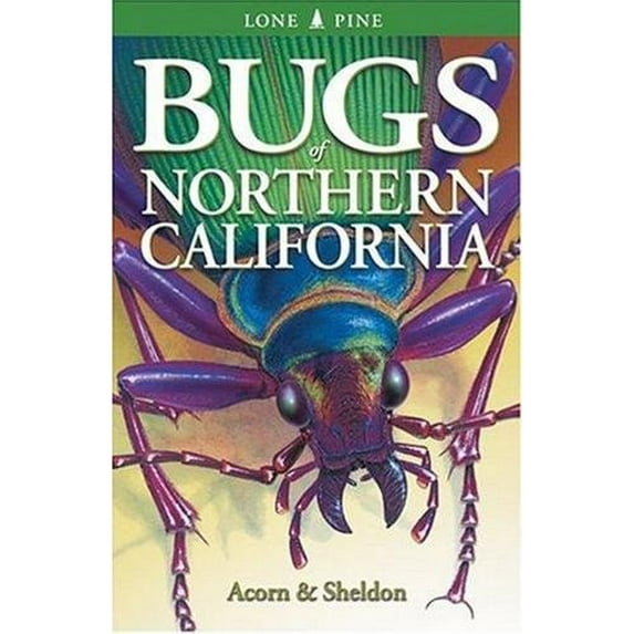 Pre-Owned Bugs of Northern California (Paperback) 1551053209 9781551053202