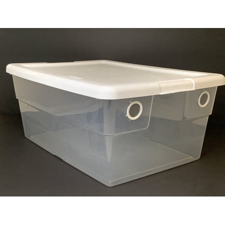 BugzyBugs Isocare Isopods & Reptiles Vented Plastic 16-Quart Terrarium with Vents, 16.75"L x 11.88"W x 7"H