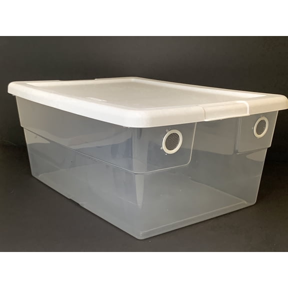 BugzyBugs Isocare Isopods & Reptiles Vented Plastic 16-Quart Terrarium with Vents, 16.75"L x 11.88"W x 7"H