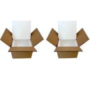 BugzyBugs Insulated Single Wall Shipping Boxes with Boxes & Styrofoam Inserts, 7 in x 6 in x 7 in, 2 Count, 2 Pack
