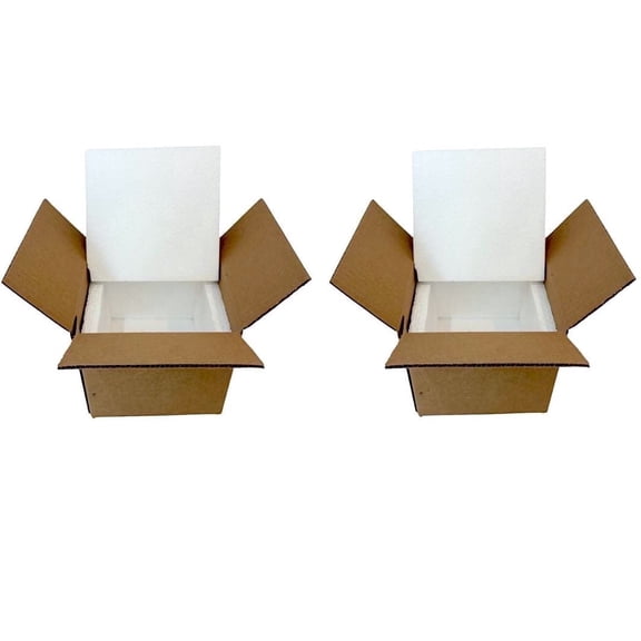 BugzyBugs Insulated Single Wall Shipping Boxes with Boxes & Styrofoam Inserts, 7 in x 6 in x 7 in, 2 Count, 2 Pack