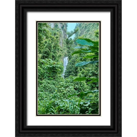 Buhl, Karl 17x24 Black Ornate Wood Framed with Double Matting Museum Art Print Titled - Caribbean-West Indies-Dominica Island One of Dominicas most popular natural attractions
