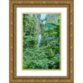 thumbnail image 1 of Buhl, Karl 23x32 Gold Ornate Wood Framed with Double Matting Museum Art Print Titled - Caribbean-West Indies-Dominica Island One of Dominicas most popular natural attractions, 1 of 4