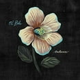 thumbnail image 1 of Buho - Balance - Music & Performance - Vinyl, 1 of 1