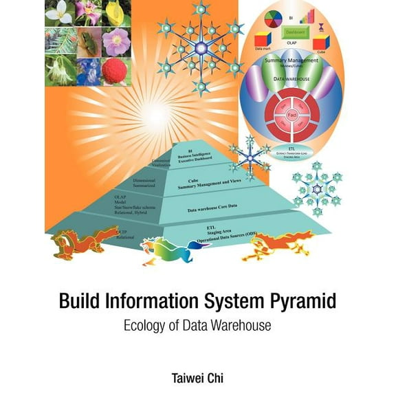 Build Information System Pyramid: Ecology of Data Warehouse (Paperback)
