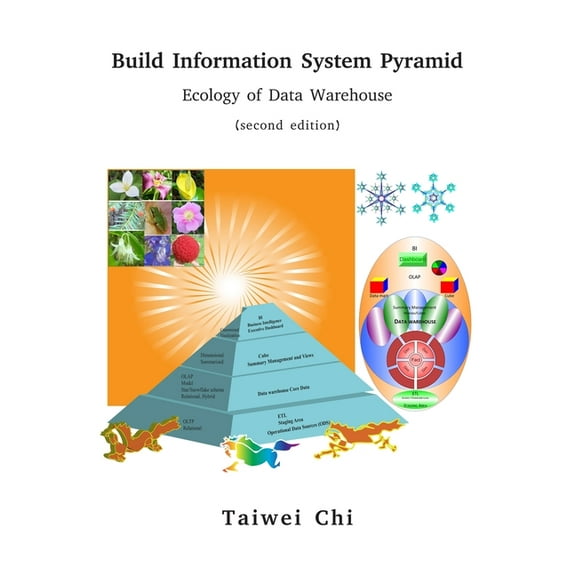 Build Information System Pyramid: Ecology of Data Warehouse, (Hardcover)