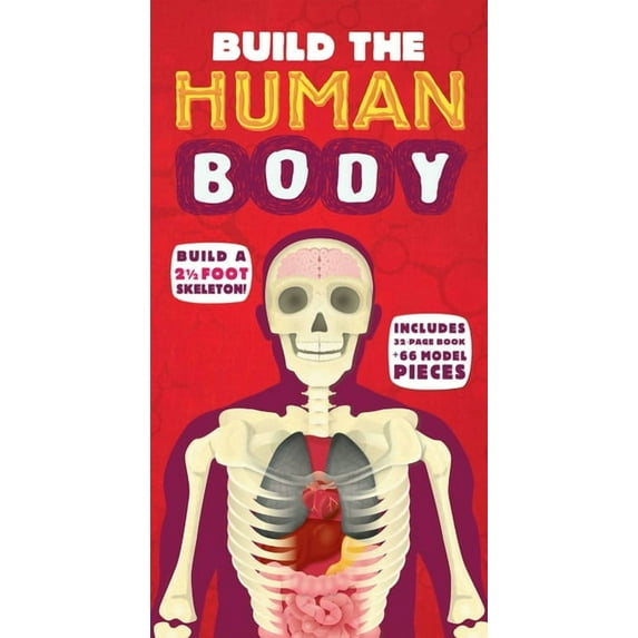 Build the Build the Human Body, (Paperback)