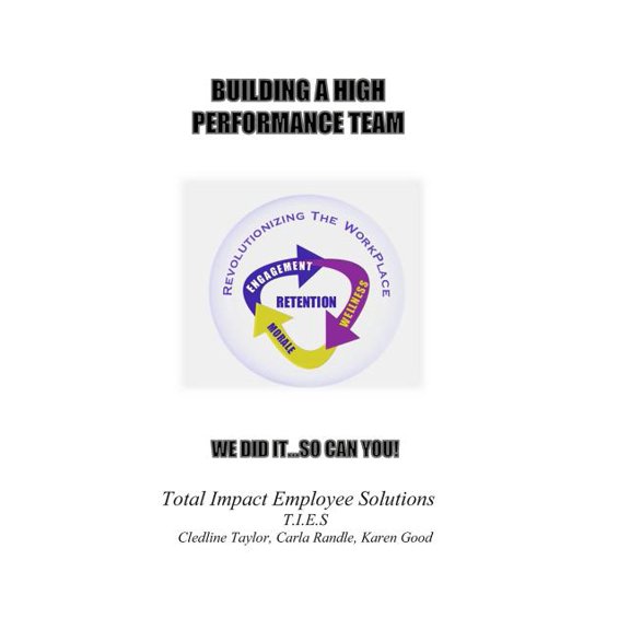 Building A High Performance Team: We did it... so can you! (Paperback)