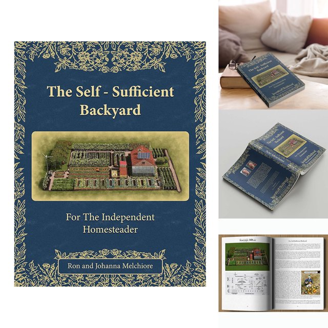 Building A Self Sufficient And Sustainable Backyard For Independent