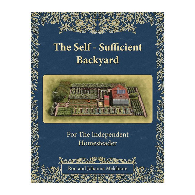 Building A Self Sufficient And Sustainable Backyard For Independent