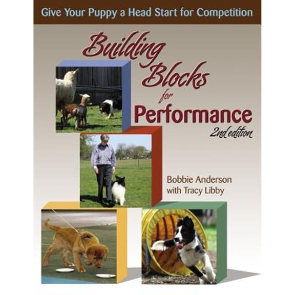 Pre-Owned Building Blocks for Performance, 2nd Edition (Unknown) 1577791053 9781577791058